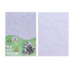 A4 GALAXY CARD PURPLE